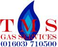 TMS Gas Services logo
