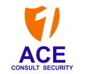 Ace Consult Security logo