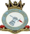 Air Cadets 2324 (Chigwell) Squadron logo