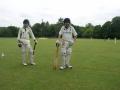 Cornwood Cricket Club image 5