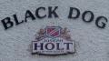 Black Dog image 2