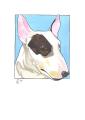 PawPrints Portraits of Animals in Watercolour & Prints logo