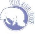 Sea Cow - East Dulwich image 2