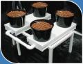 Lancaster Hydroponics image 2