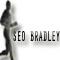 SEO Bradley image 1