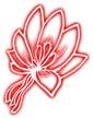 Saffron Design & Print Limited logo
