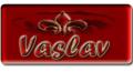 Vaslav Burgers and Sausages logo