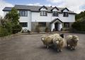 Sheepleys B&B image 1