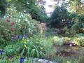 Moyclare Cornish Garden image 3