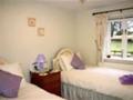 Beechwood Bed and Breakfast image 7