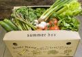 Riverford organic vegetables image 3