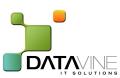 Datavine logo