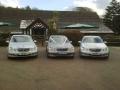 Williams Chauffeur Services image 1