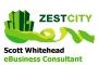 Zest City logo