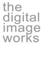 The Digital Image Works logo