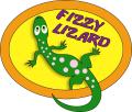 Fizzy Lizard Play Gym image 1