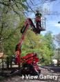 Oakwood Tree Services Tree Surgeons In leeds image 2