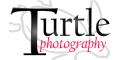 Turtle Photography image 9