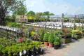 Beechcroft Nurseries & Garden Centre logo