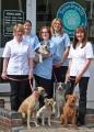 Sunninghill Veterinary Centre image 1