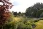 Camilla Hiley Garden and Landscape Design image 3