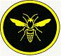 Telford Hornets Rugby Club image 1
