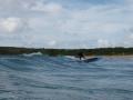 Stand up paddle boards SANDREEF image 3