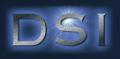 DSI IT Services Ltd logo