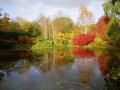 RHS Garden Rosemoor image 10