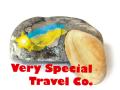 Very Special Travel Company image 1