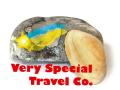 Very Special Travel Company logo