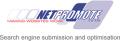 Netpromote LTD logo