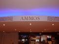 Ammos Greek Restaurant image 3