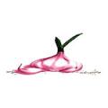 Pink Garlic image 3