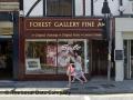 Forest Gallery Fine Art image 1