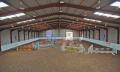 Mackenzies Equestrian Centre image 1