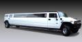 Arrive in Style Luxury Limousines logo