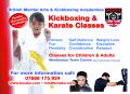 British Martial Arts and Kickboxing Academies logo