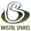 Bristol Sparks Ltd. image 1