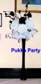 Pukka Party Planners image 8