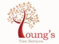Young's Tree Services logo