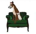windlegrey top dog grooming salon logo