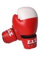 FCG Boxing Gear image 5