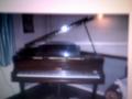 Fine pianos of Cheltenham Ltd logo