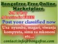 Bongofree LTD image 1