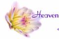 Heaven At Home Spa logo