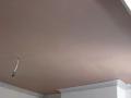 Plasterers in Bristol and the West Country image 4