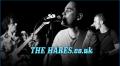 The Hares Live Music Duo, Band, Solo & DJ image 1