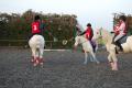 Moorfield Riding Centre image 2
