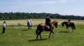 Tilford and Rushmoor Riding Club image 6
